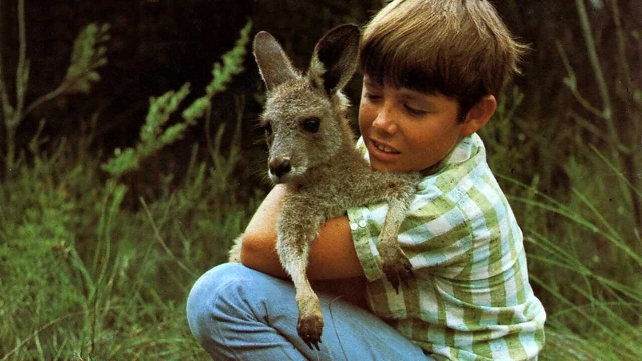 FR - Skippy, le kangourou 0