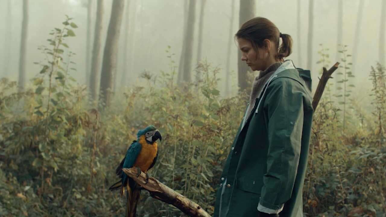 Kommt ein Vogel geflogen (2023) 0