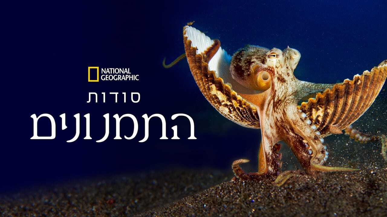 EN - Secrets Of The Octopus (2024) 3