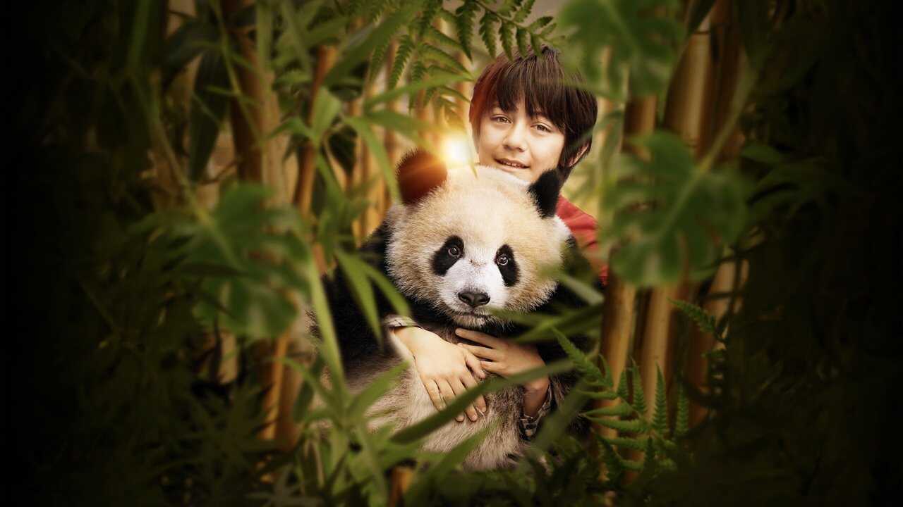 Moon The Panda (2025) 0