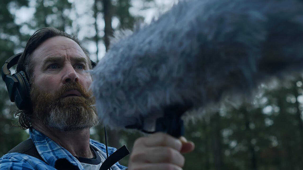 Within the Pines (2024) 0