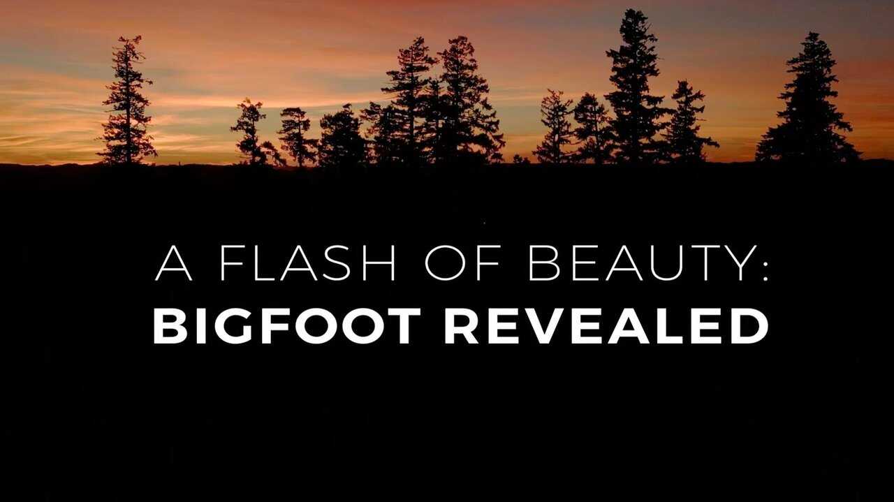A Flash of Beauty: Bigfoot Revealed 0