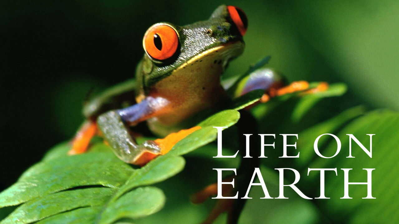 EN - Life on Earth (1979) (GB) 3