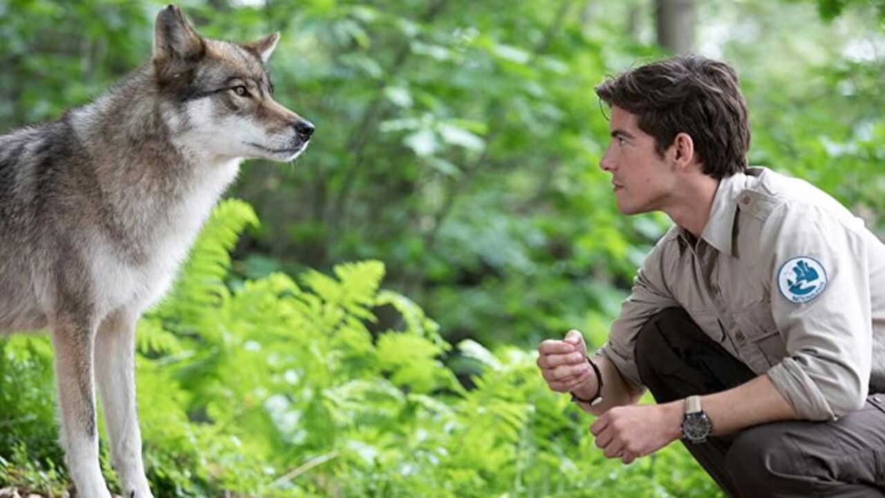 DE - Der Ranger: Paradies Heimat (2018) 1