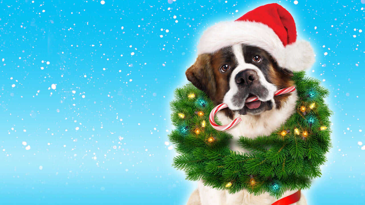 Beethoven: Aventura de navidad (2011) 0