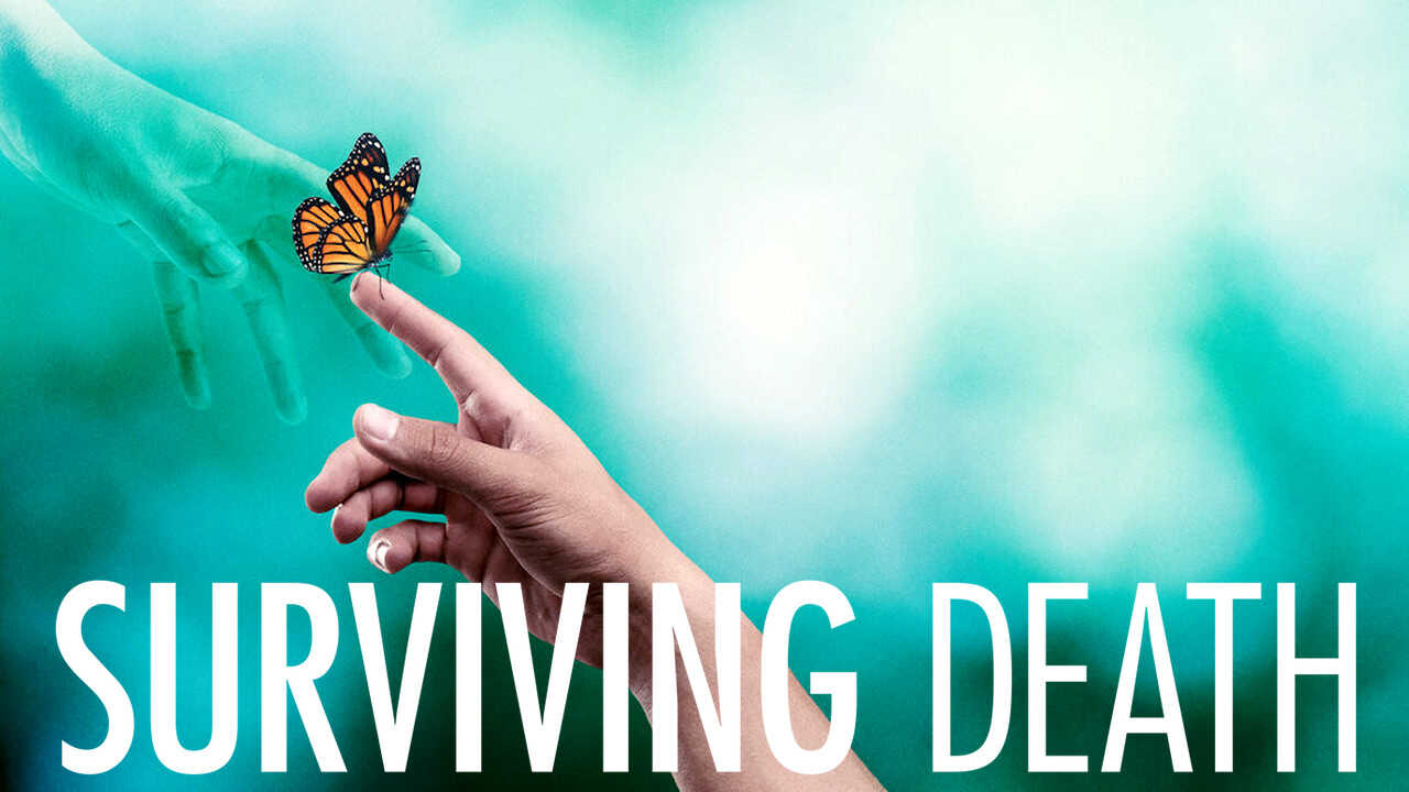 NF - Surviving Death 2