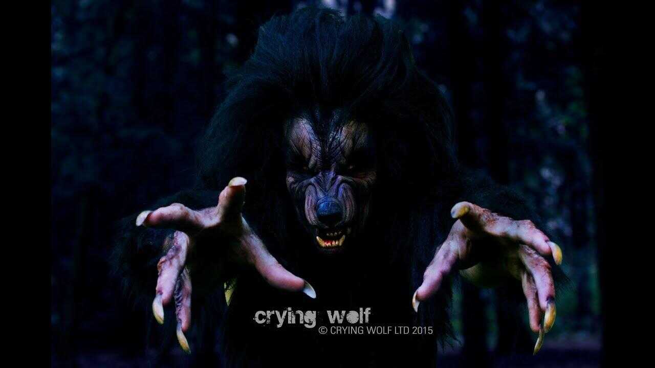 Crying Wolf 0
