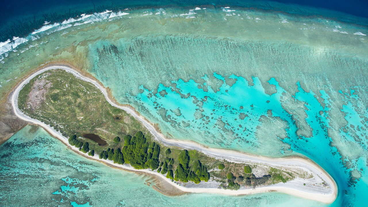 NF - Magical Land of Oz 3