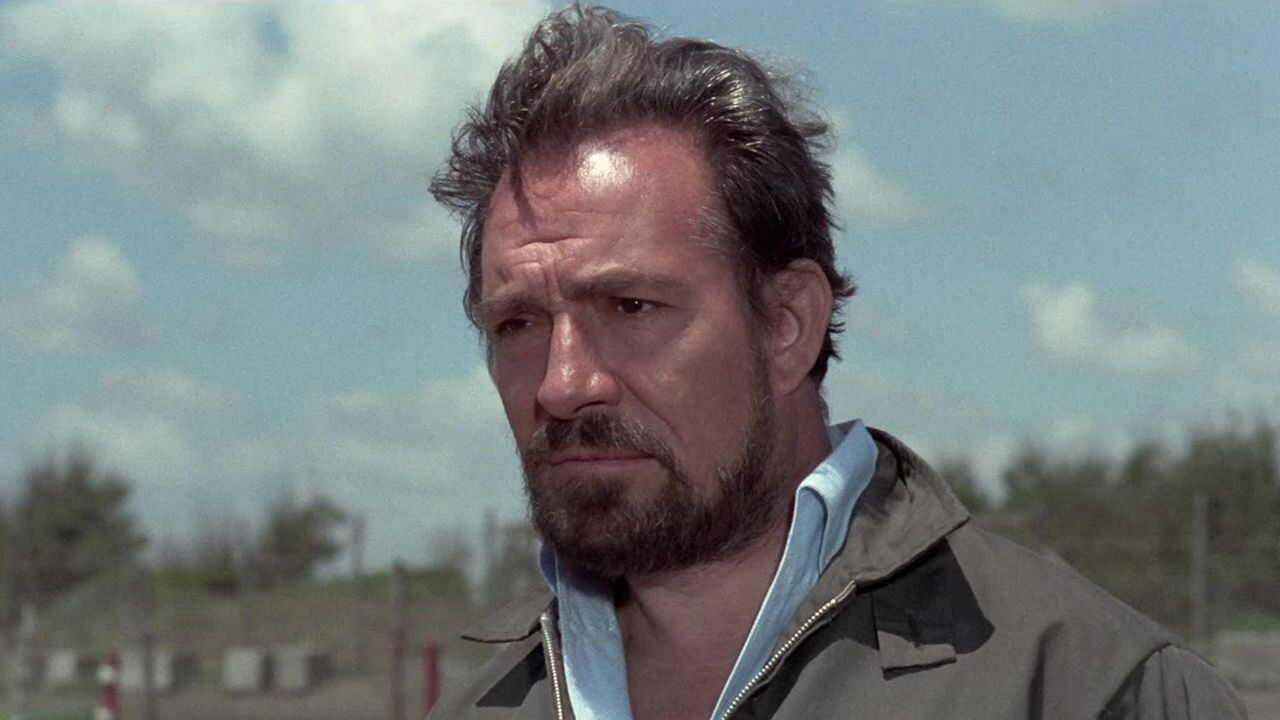 In the Name of the Italian People (1971) 0