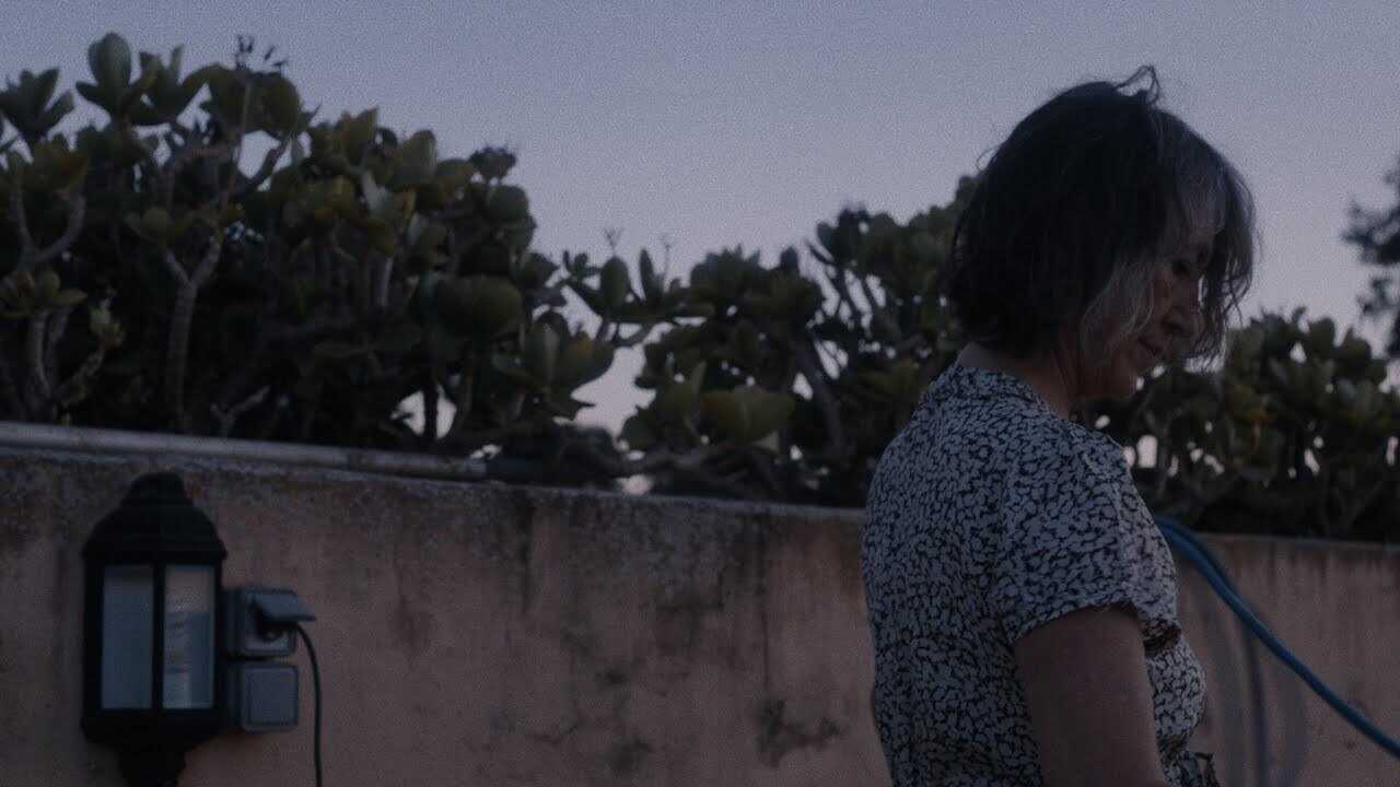Tal día hizo un año (2020) 0