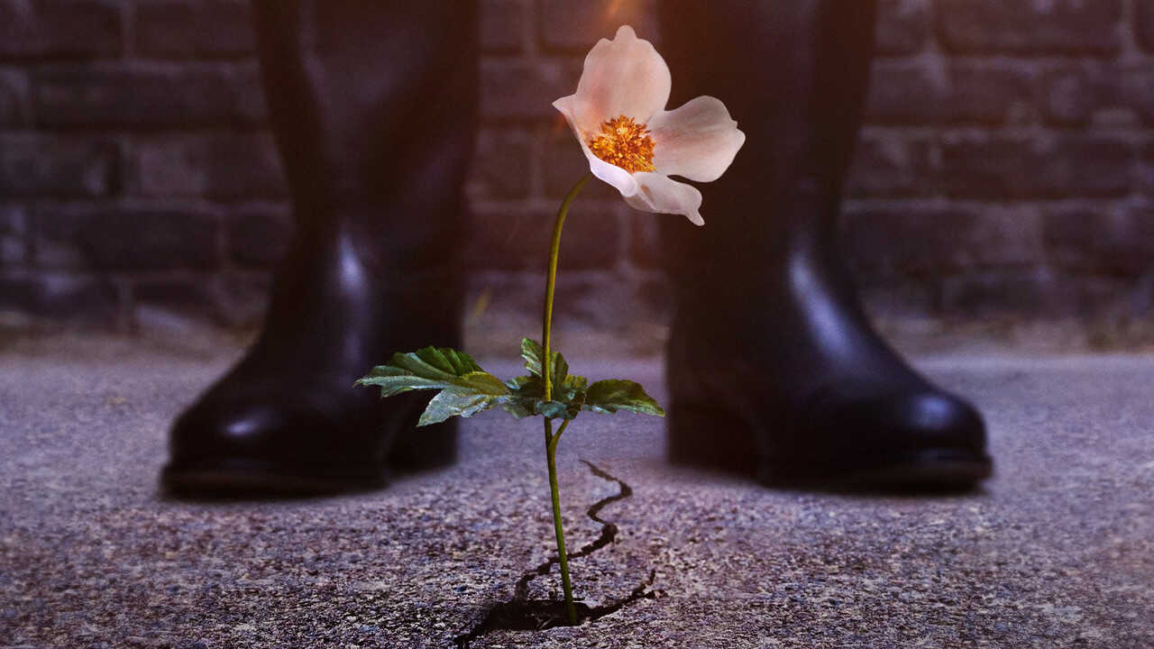 4K-DE - The Man in the High Castle (2015) (US) 2