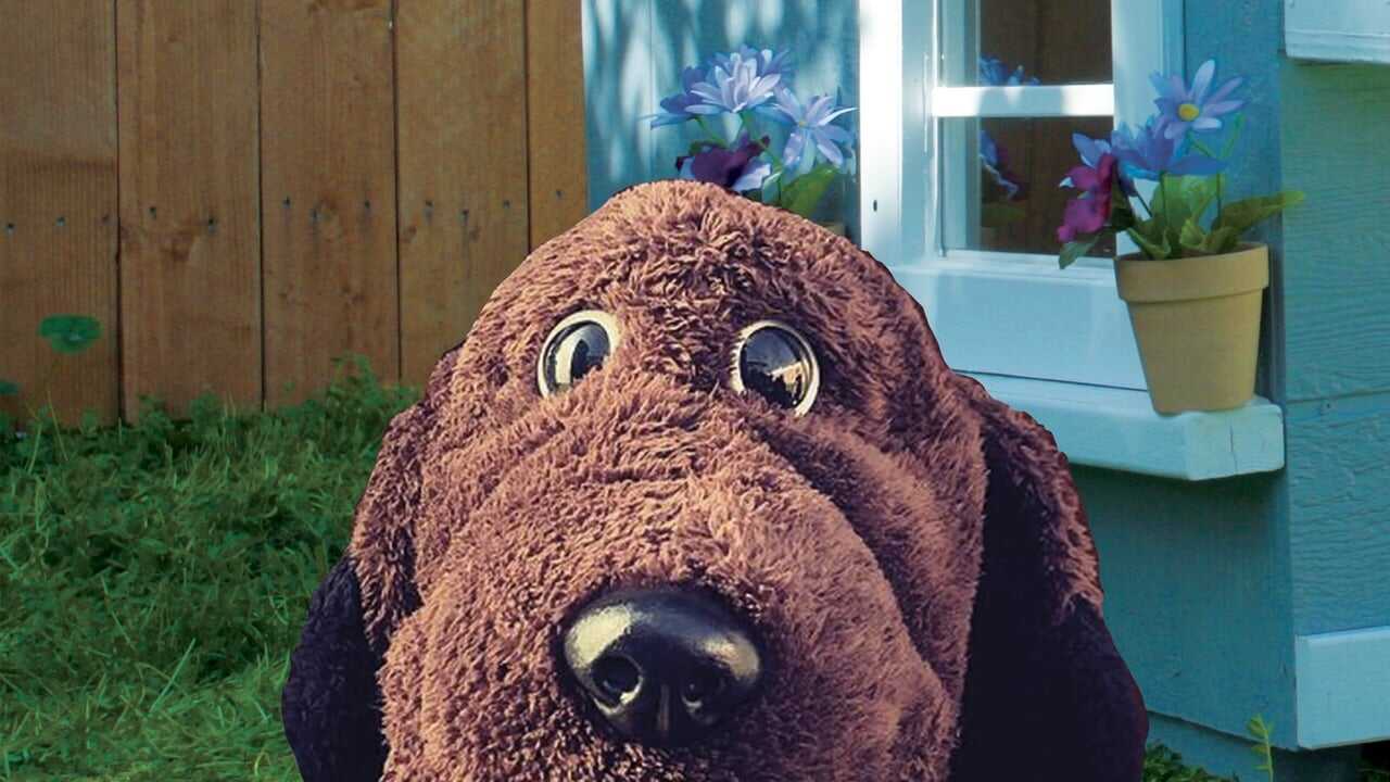 Allan The Dog (2020) 0