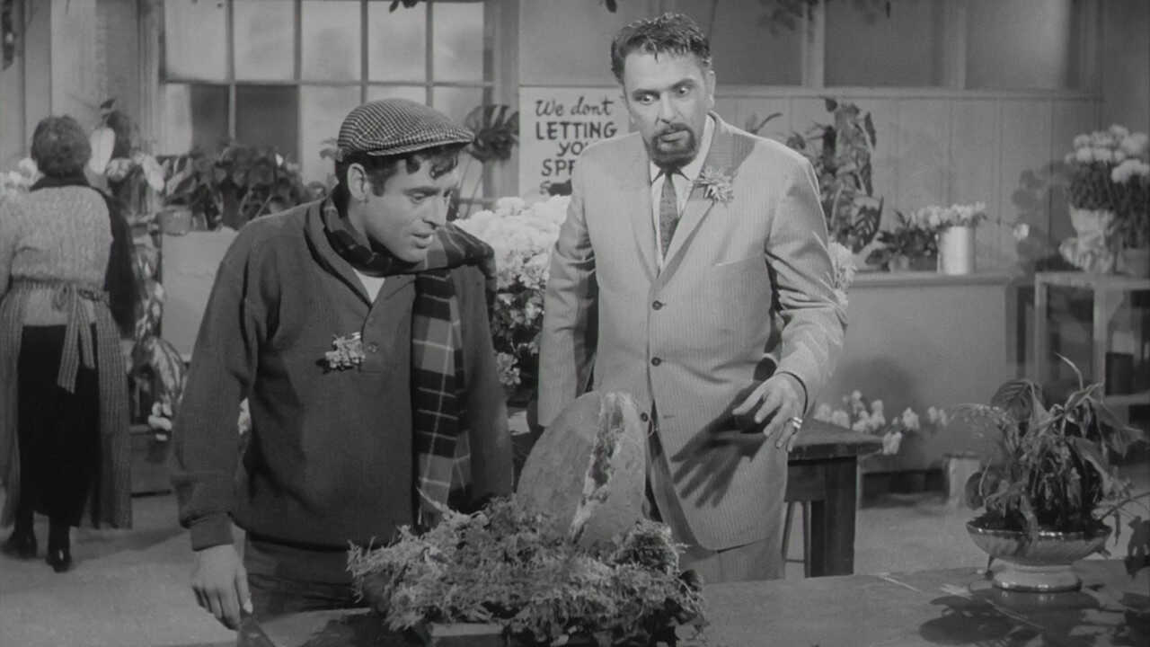 The Little Shop of Horrors (1960) 0