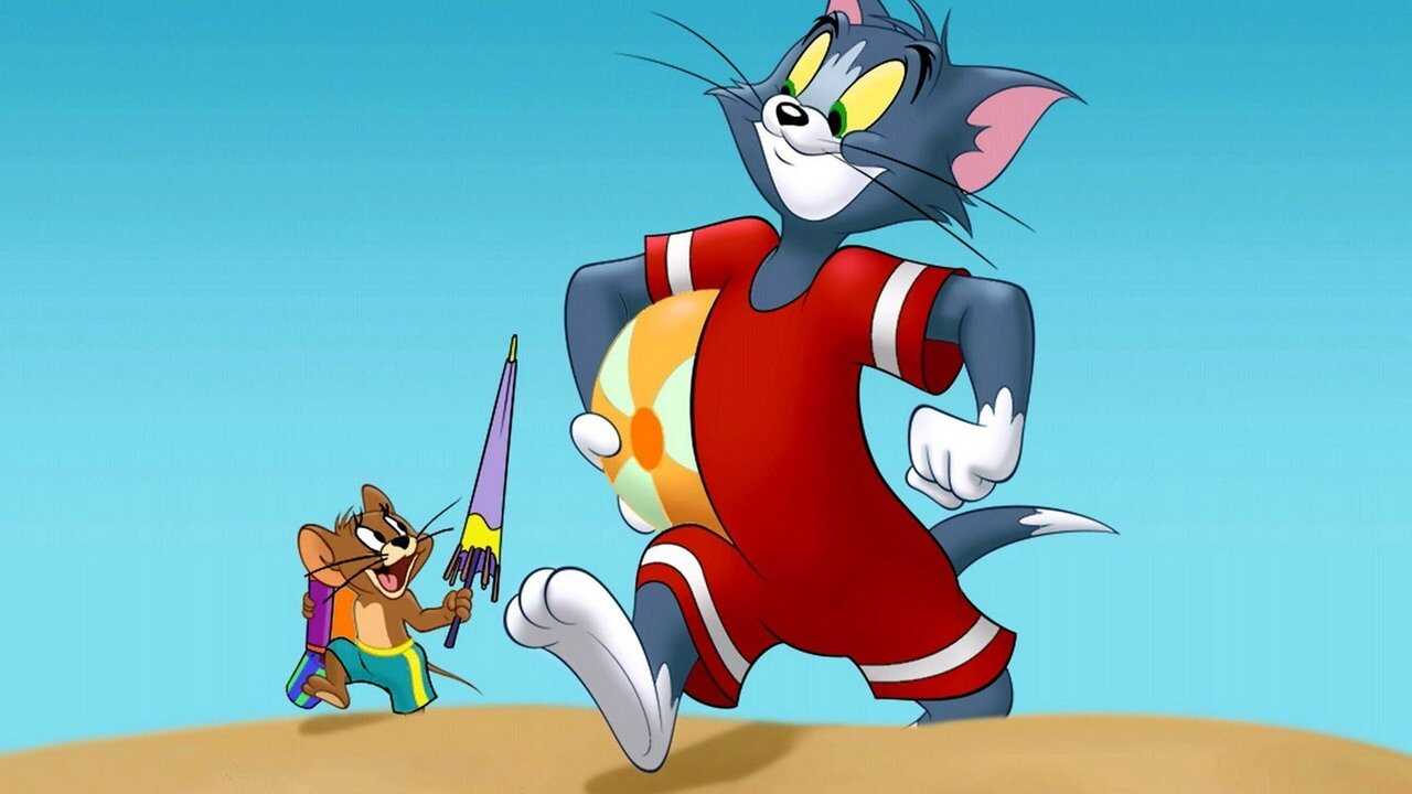 FR - The Tom et Jerry Show 0