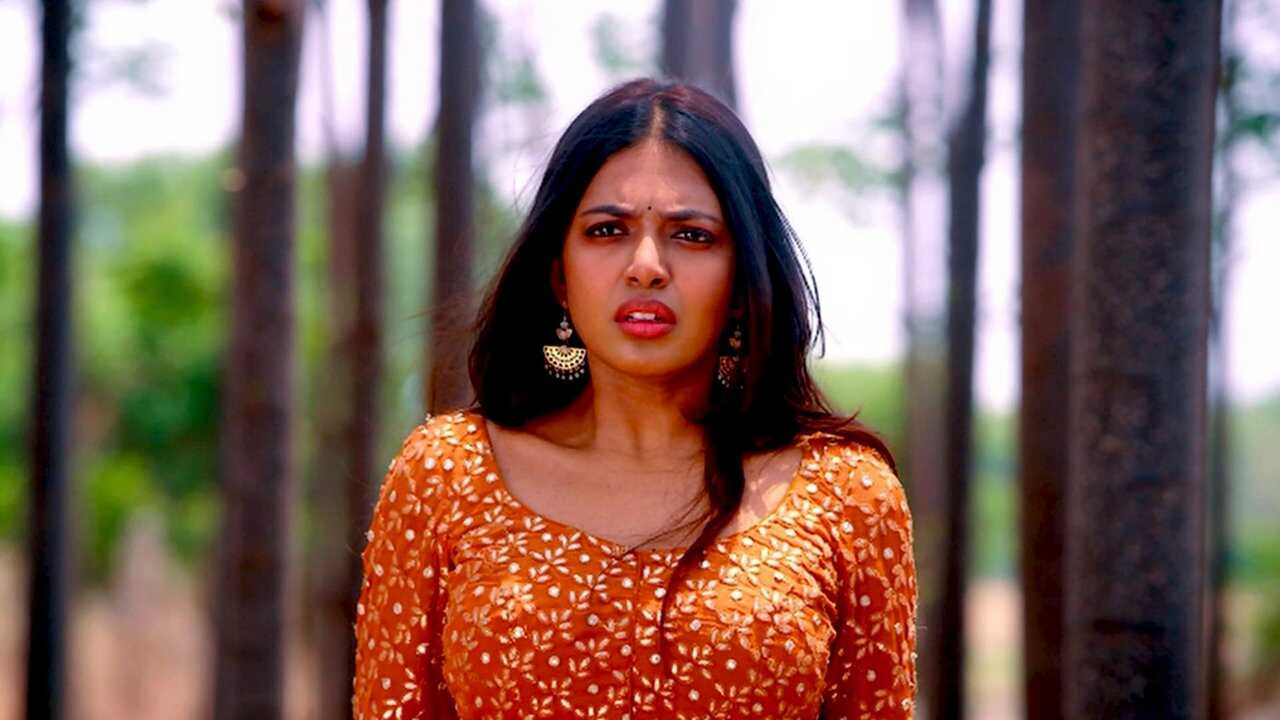 IN - Aha Naa Pellanta (2022) 4