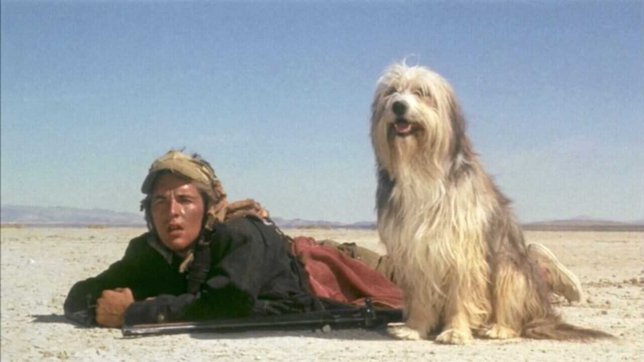 Der Junge mit dem Hund (1975) 0