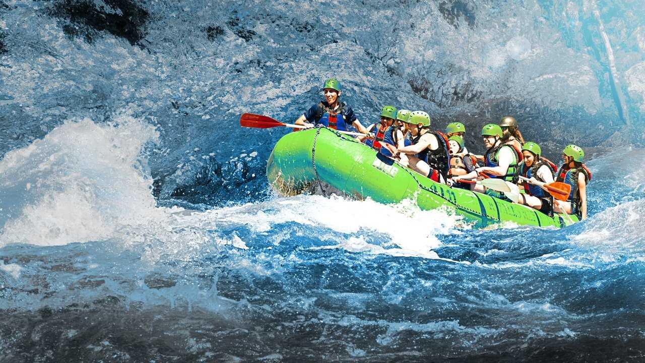 D+ - Bug Juice: My Adventures At Camp (2018) 0