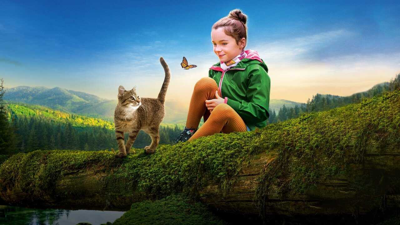 A Cat's Life 0