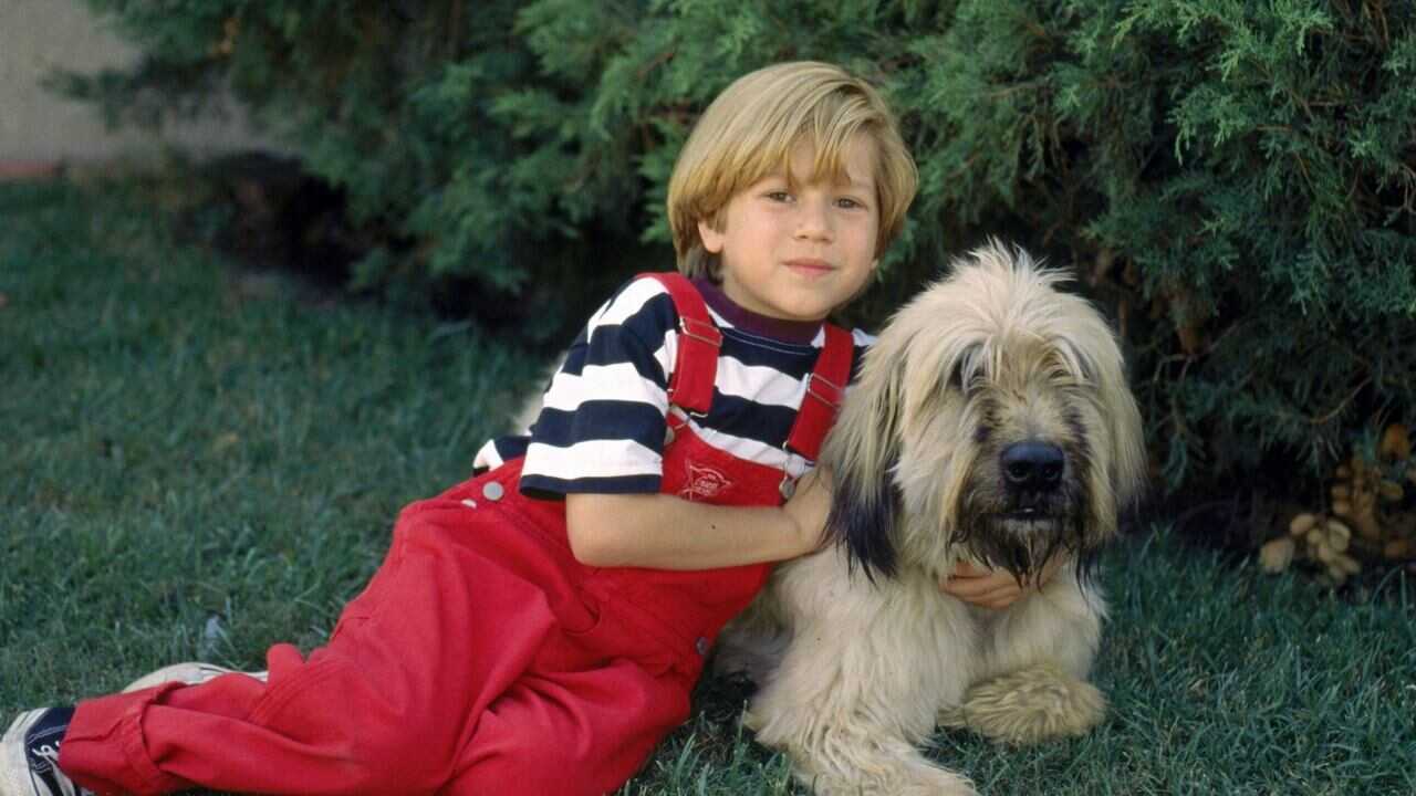 Dennis the Menace Strikes Again! 0