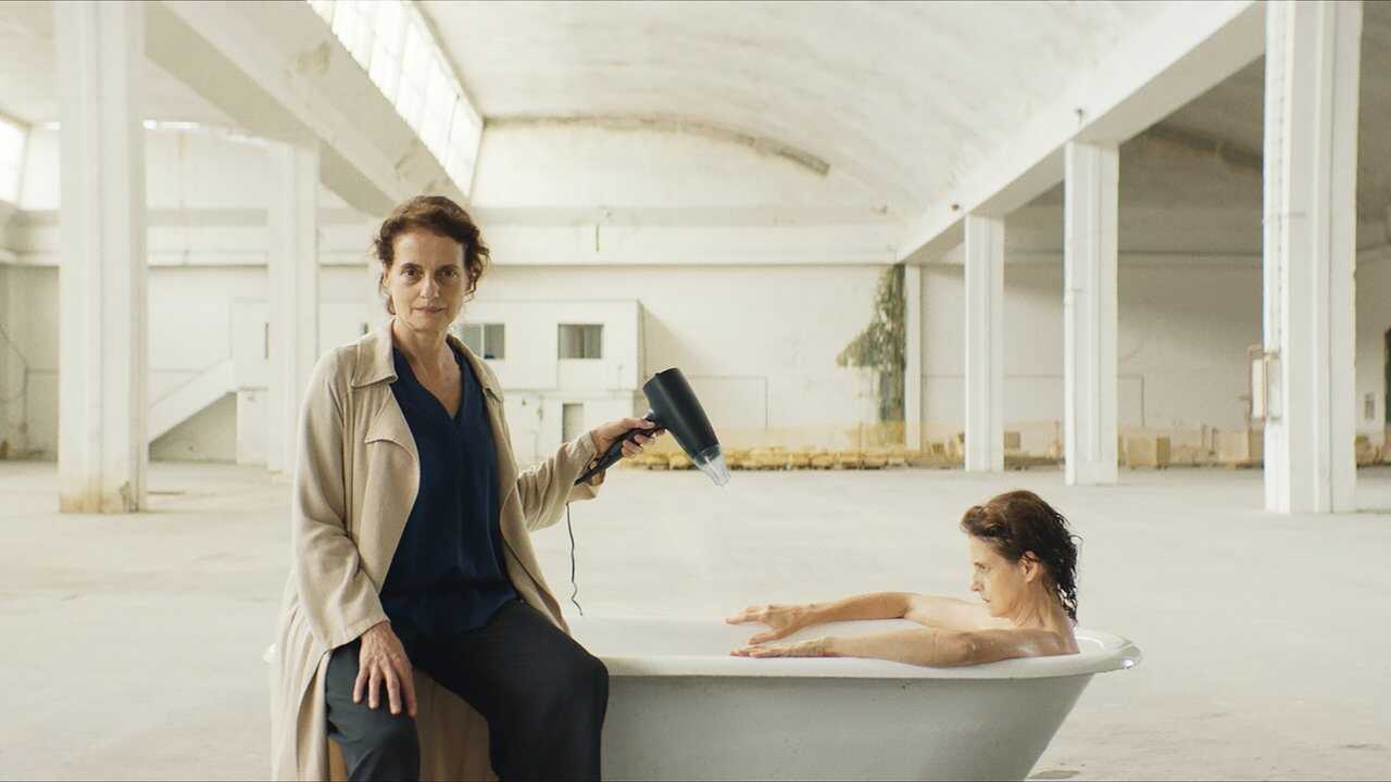 Sonhar com Leões (2024) 0