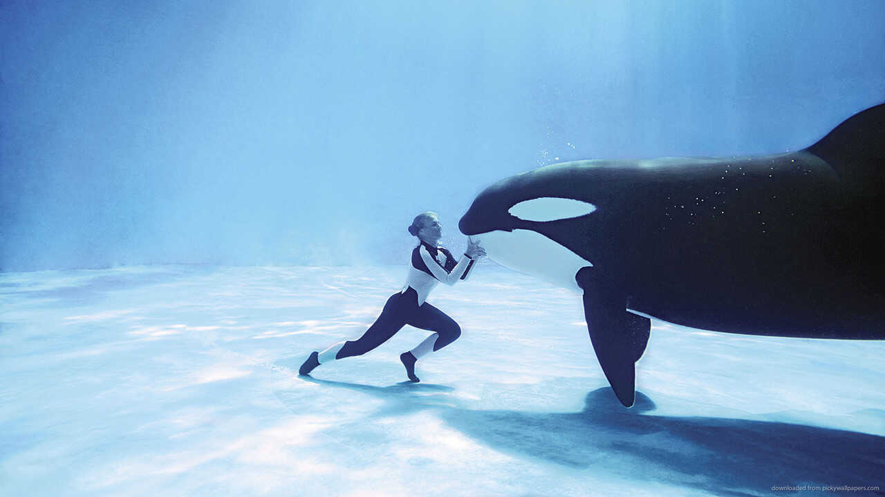 Blackfish (2013) 0