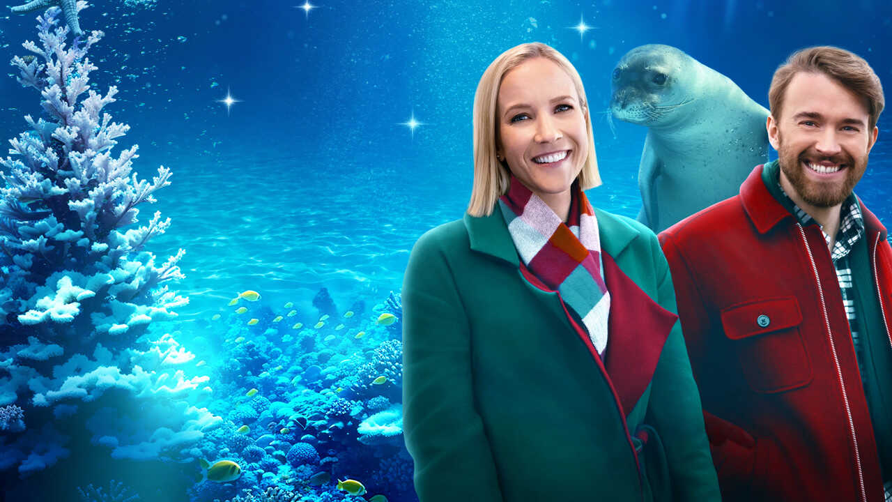 Seaside Christmas – Ein Seehund zum Fest (2023) 0