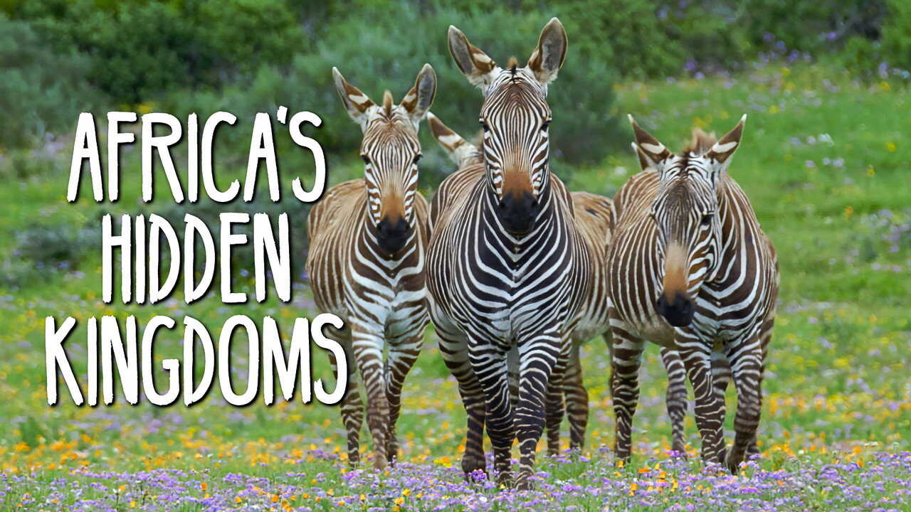 EN - Africa's Hidden Kingdoms (2016) 4