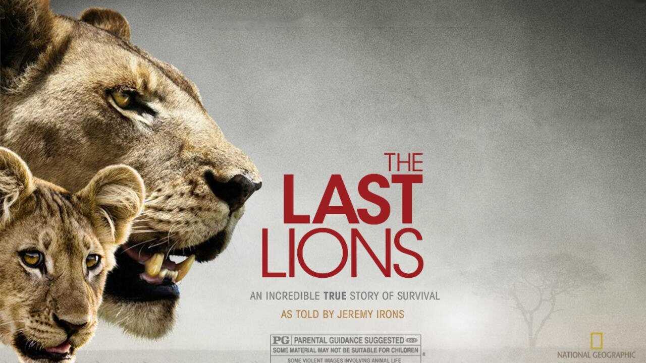 The Last Lions (2011) 0
