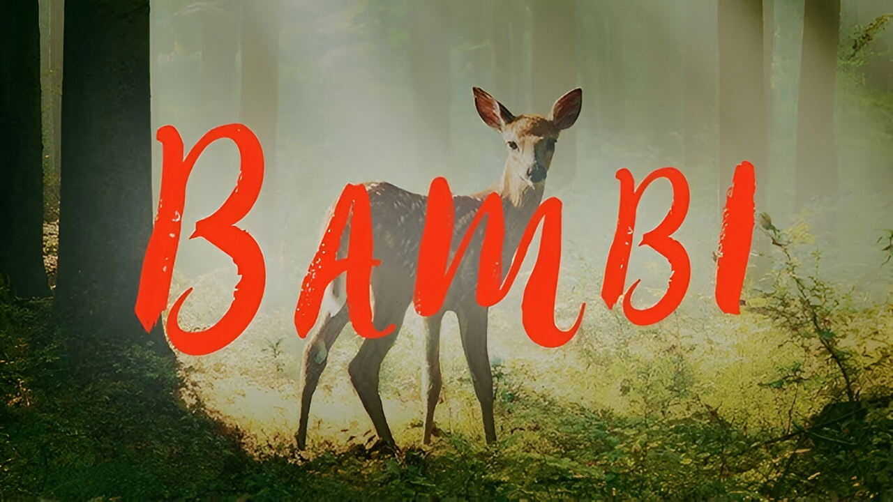 Bambi, L'histoire d'une Vie Dans les Bois (2025) 0