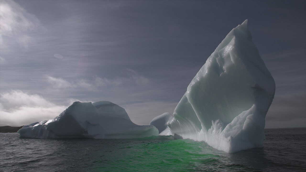 EN - Arctic Secrets (2016) (US) 2