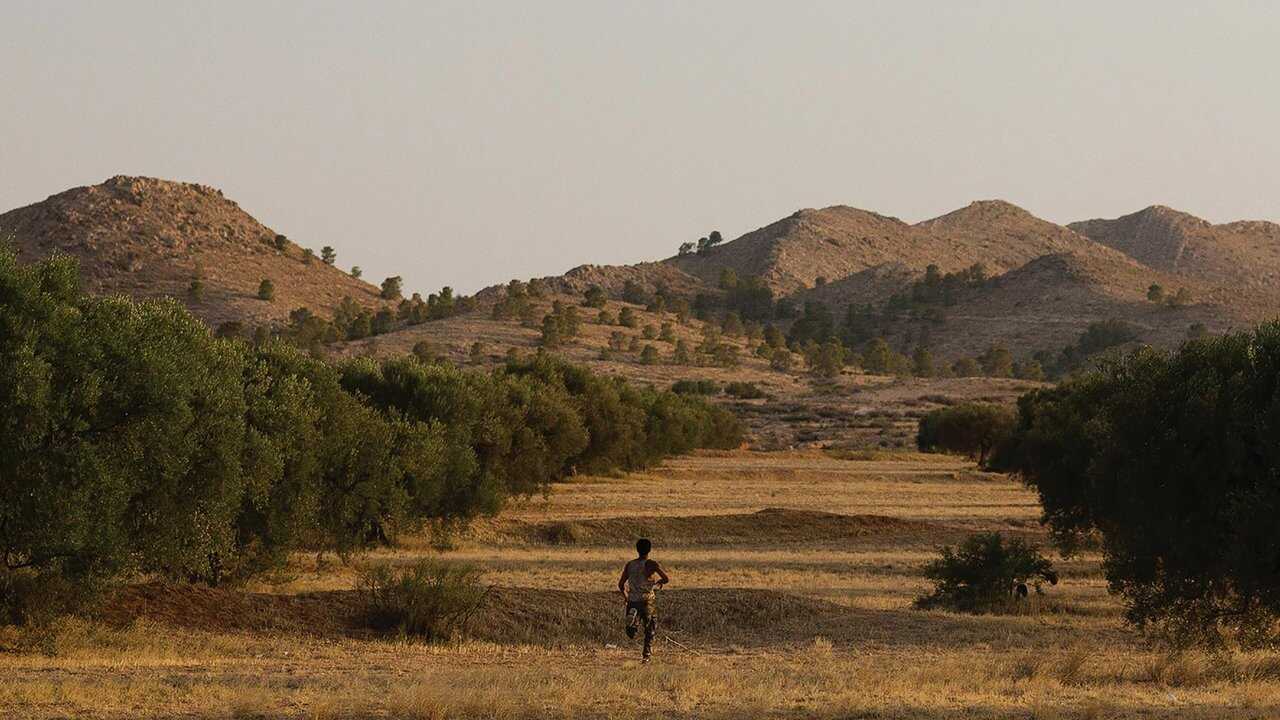 حرقة (2022) 0