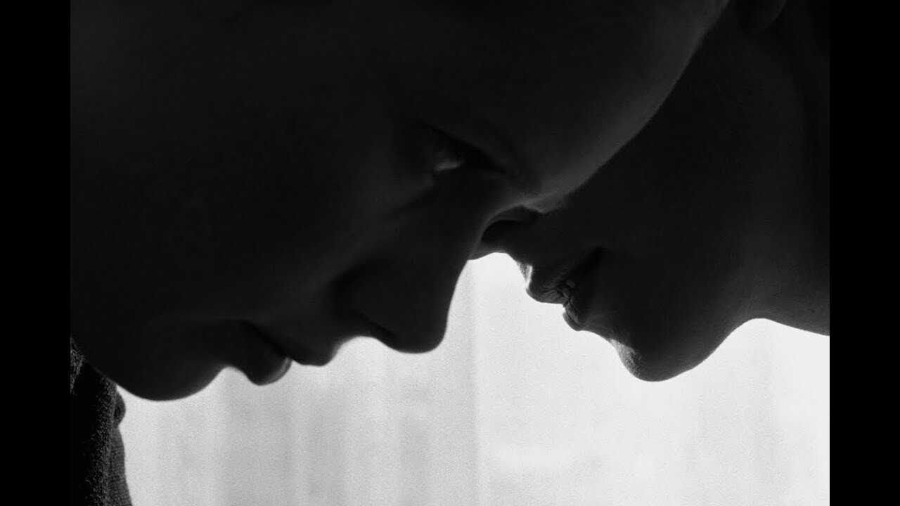 The Arborist (2025) 0