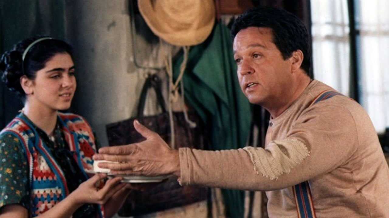 Il ragazzo di campagna (1984) 0