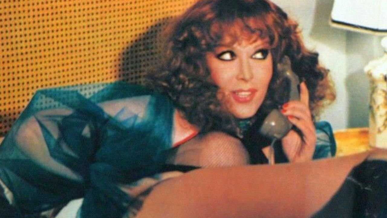 La cameriera seduce i villeggianti (1980) 0