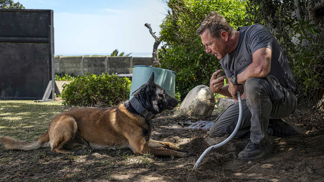 Muzzle: City of Wolves (2025) 0