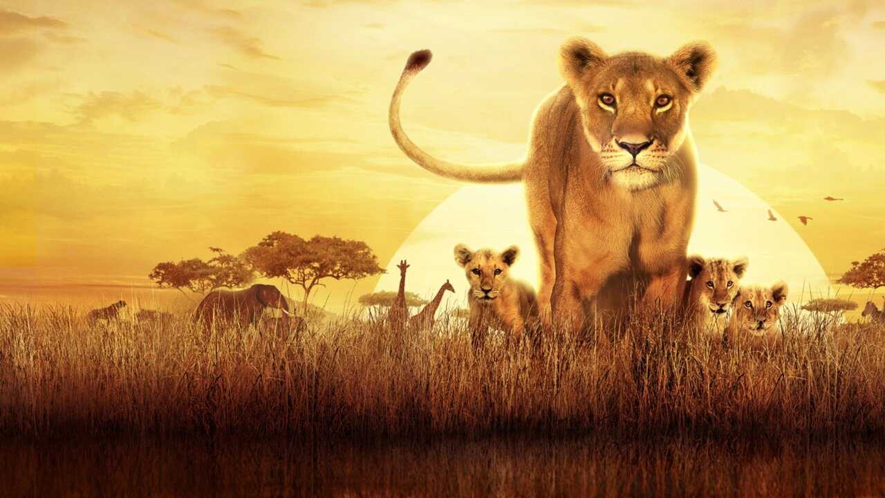 FR - Serengeti 0