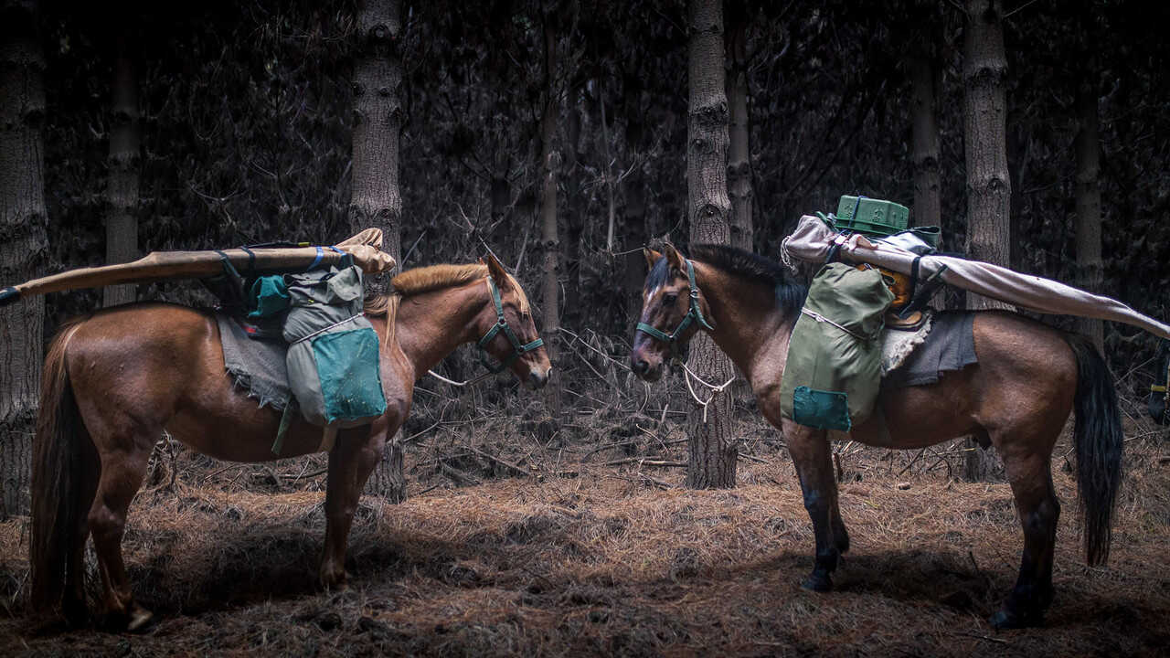 The Road to Patagonia (2024) 0