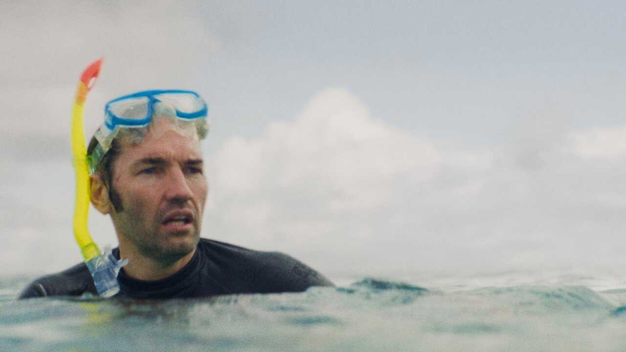 Shark 0