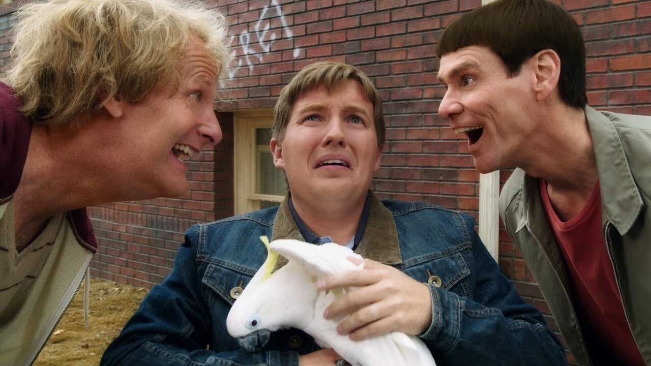 Dumb and Dumber To (2014) 0