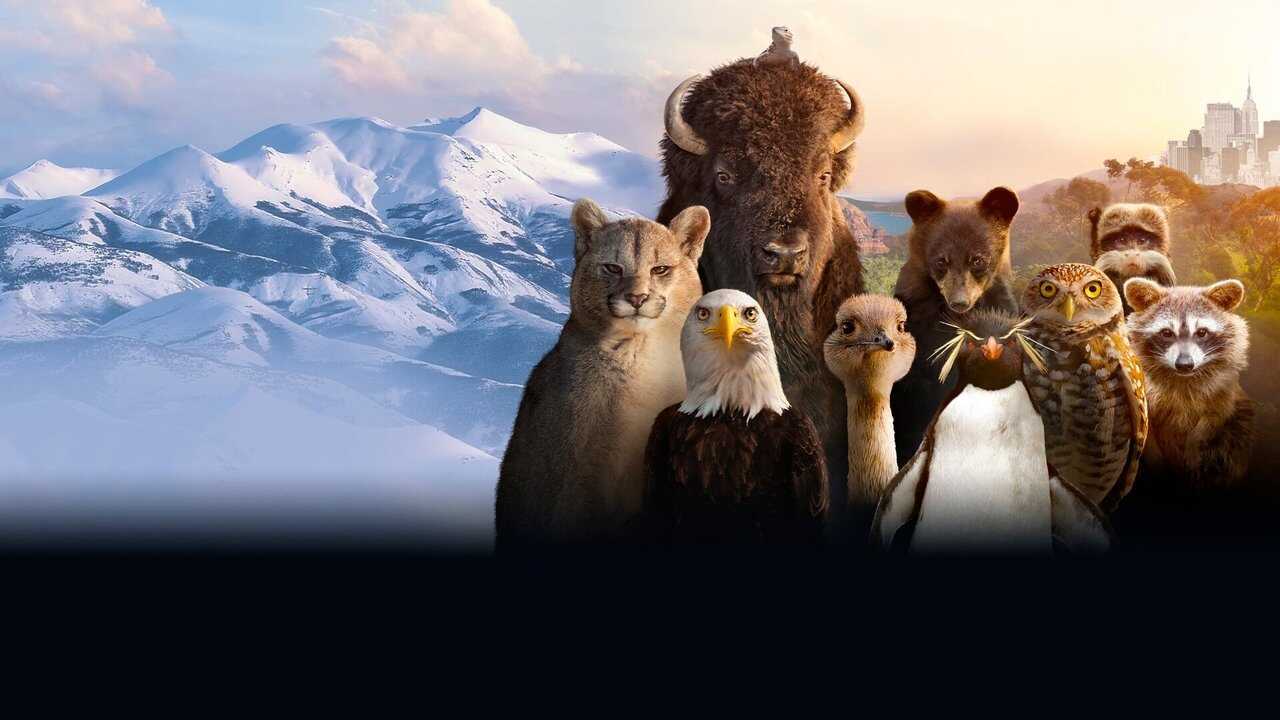 EN - The Americas (2025) 3