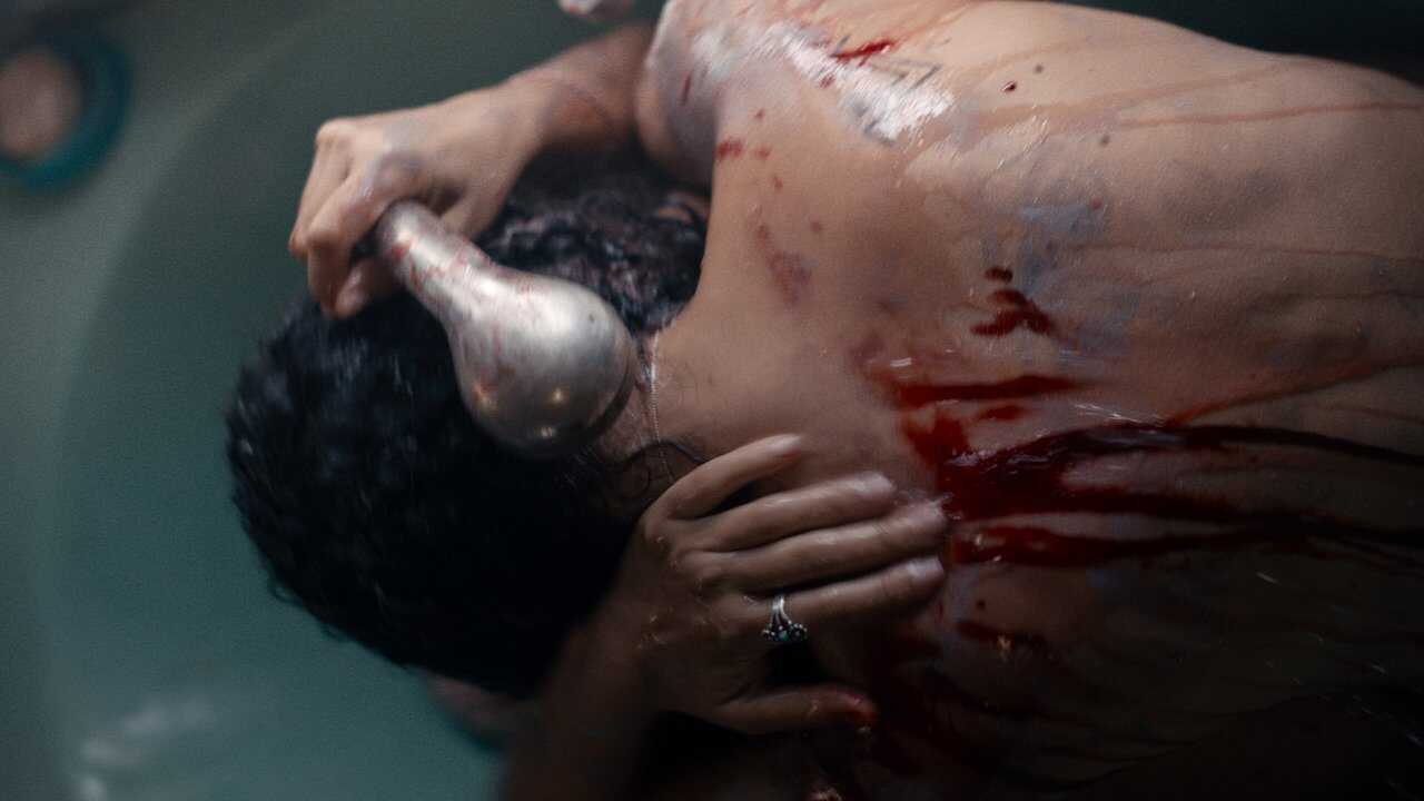 Animale (2024) 0