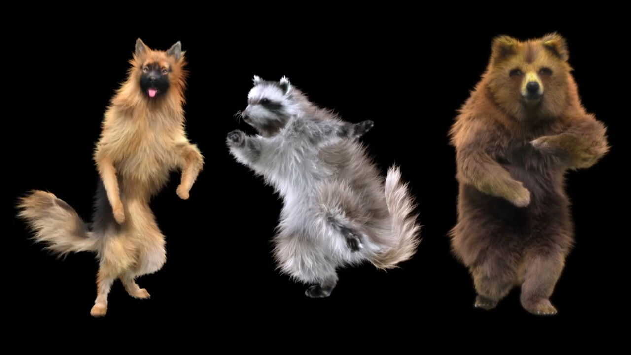 Des plaisirs pas si bêtes (2025) 0