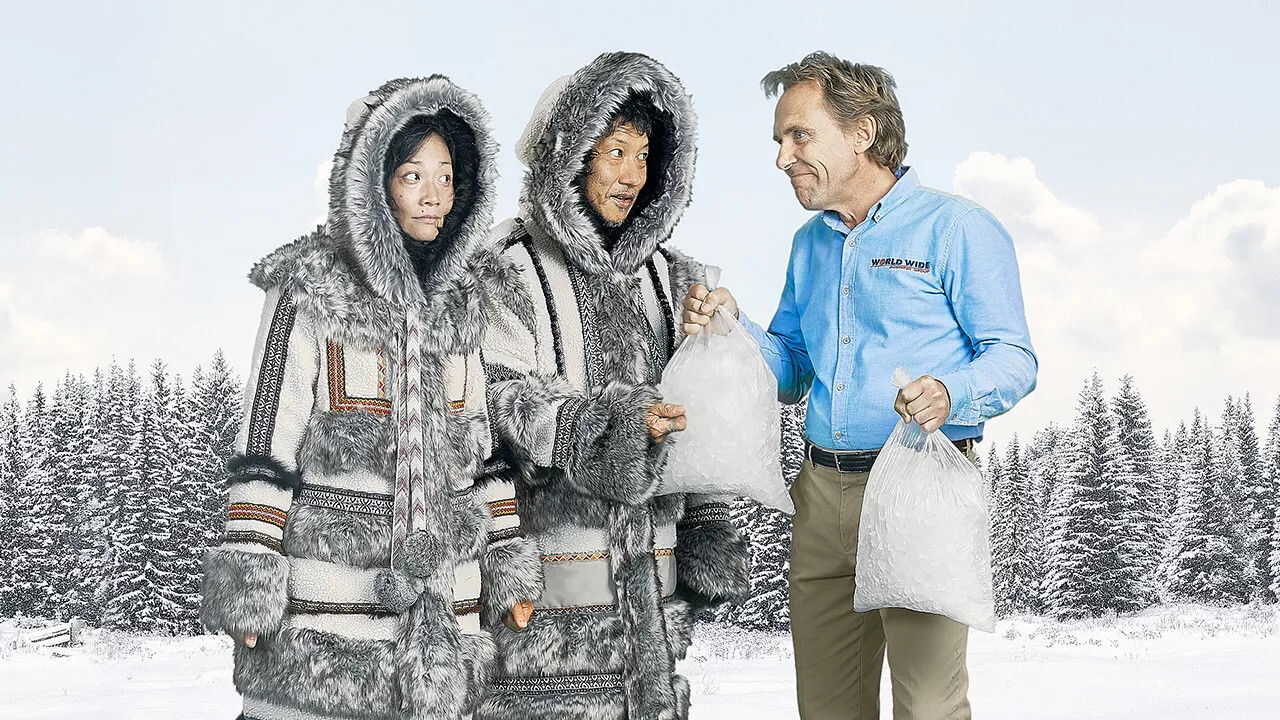 NF - Back in Very Small Business 1