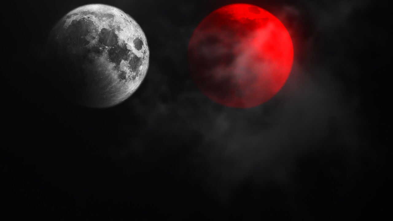 Not All Movies Are the Same: Dual 0