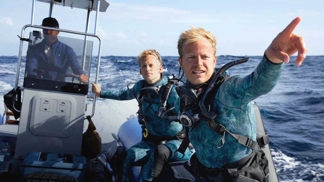 Dolphins Up Close with Bertie Gregory 0