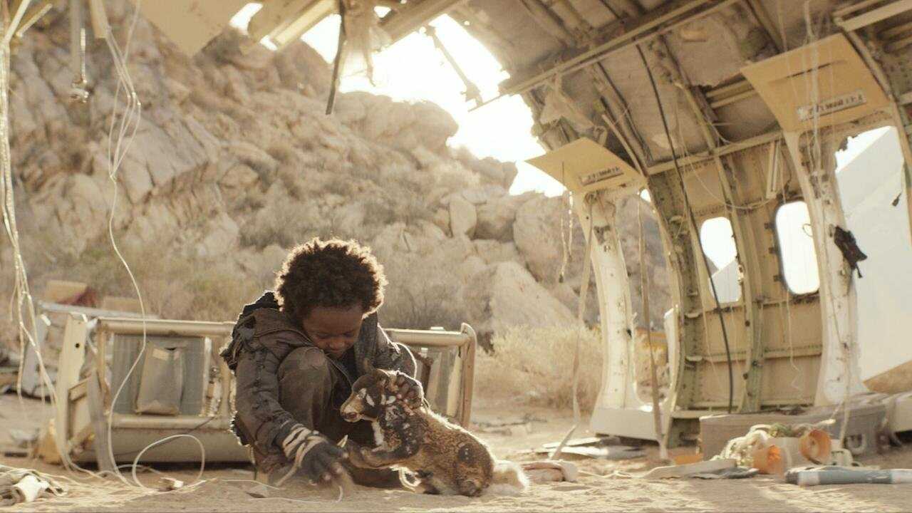 The Protector (2025) 0