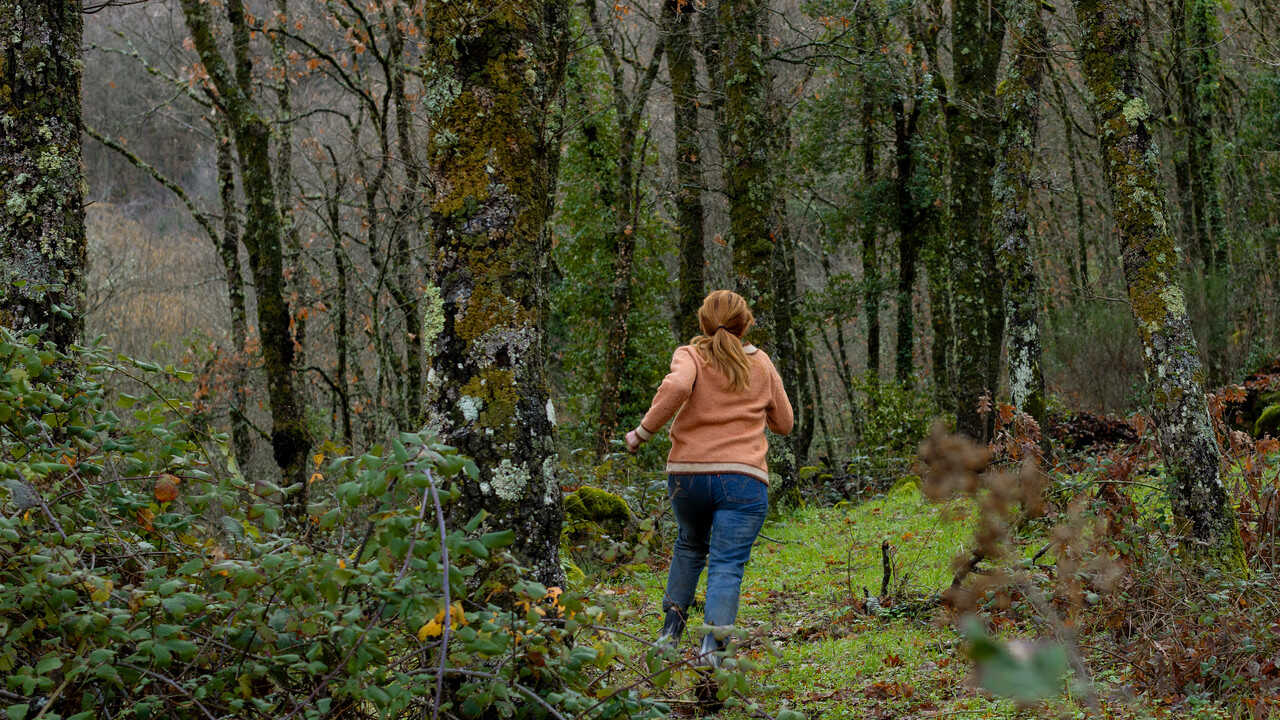 ES - El cuco de cristal (2025) (ES) 4