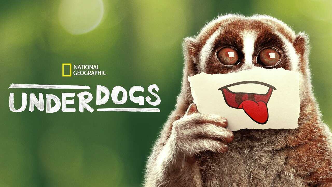 FR - Les outsiders du monde animal (2025) (US) 4