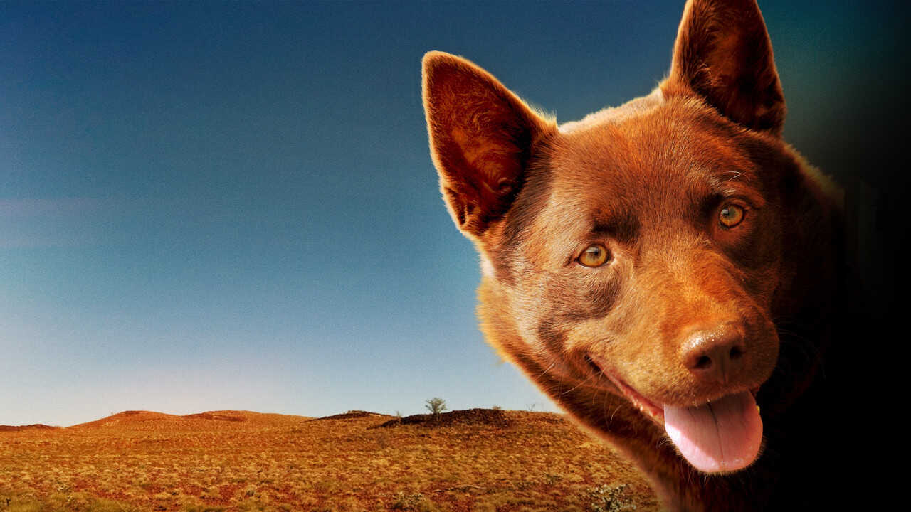 Red Dog (2011) 0