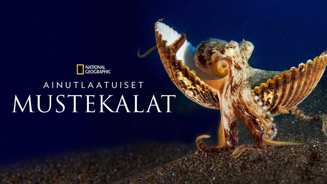 EN - Secrets Of The Octopus (2024) 1